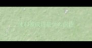 此和彼成语是什么成语