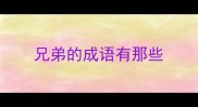 兄弟的成语有那些
