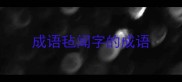 成语毡闻字的成语