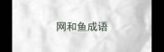 网和鱼成语