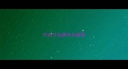 什么什么彼什么成语