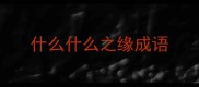 什么什么之缘成语