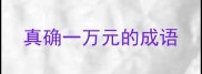 真确一万元的成语