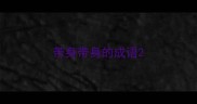 带身带身的成语