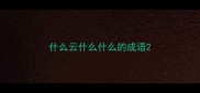 什么云什么什么的成语