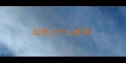 成语正什么成语