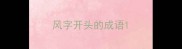 风字开头的成语