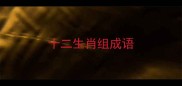十二生肖组成语