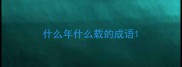 什么年什么载的成语