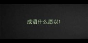 成语什么愿以