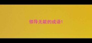 领导无能的成语