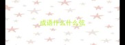 成语什么什么弦