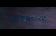 成语带望的成语