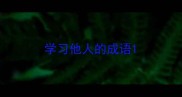 学习他人的成语