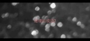 道理的成语