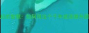 愚公移山背后的智慧如何用这个千年成语提升团队执行力