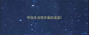 形容生活很丰富的成语