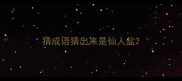 猜成语猜出来是仙人盐