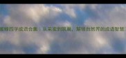 蜜蜂四字成语合集从采蜜到筑巢解锁自然界的成语智慧