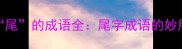第四个字是尾的成语全尾字成语的妙用与学习指南