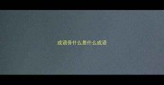 成语务什么是什么成语