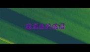 成语业的成语