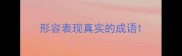形容表现真实的成语
