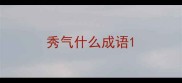 秀气什么成语