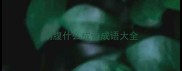 刚腹什么成语成语大全