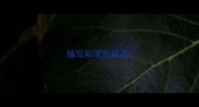 描写和蔼的成语