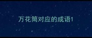 万花筒对应的成语