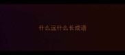 什么远什么长成语