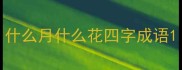 什么月什么花四字成语