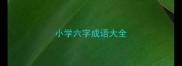 小学六字成语大全