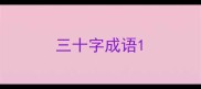 三十字成语