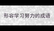 形容学习努力的成语
