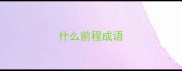 什么前程成语