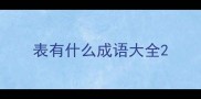 表有什么成语大全