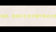 必学100个成语职场与生活中提升表达力的黄金法则