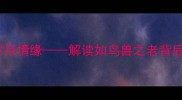 白发夫妻的岁月情缘解读如鸟兽之老背后的爱情真谛