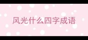 风光什么四字成语