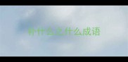 补什么之什么成语
