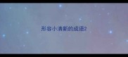 形容小清新的成语