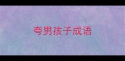 夸男孩子成语