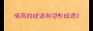 横高的成语有哪些成语