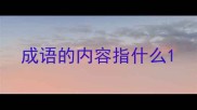 成语的内容指什么