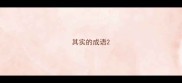 其实的成语