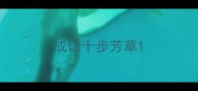 成语十步芳草