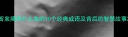 答案揭晓什么兔的10个经典成语及背后的智慧故事