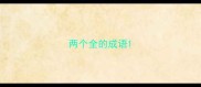 两个全的成语